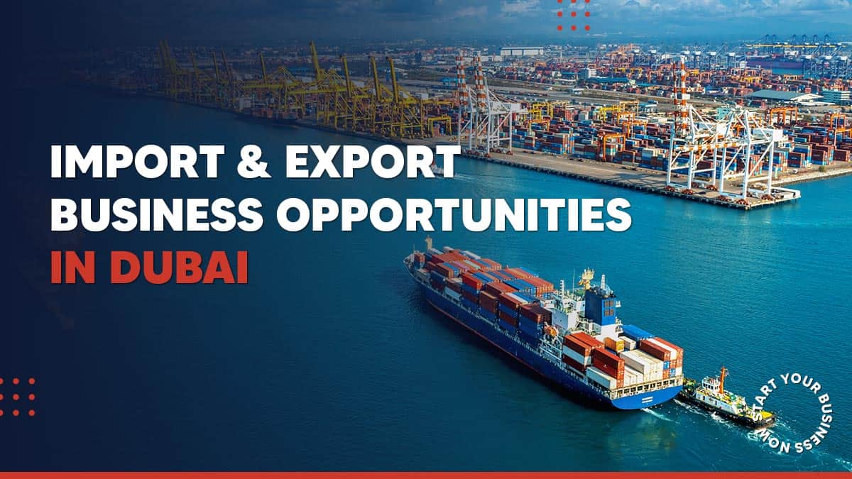 Import and export business opportunities in Dubai